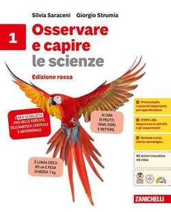 Copertina 9788808432360 Usato