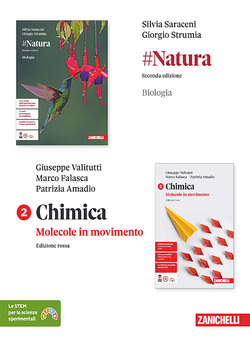 Copertina 9788808440310 Usato