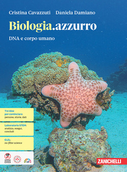 Copertina 9788808560889 Usato