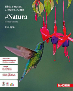 Copertina 9788808570208 Nuovo