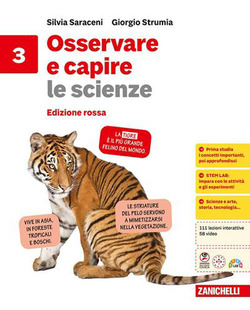 Copertina 9788808607591 Usato