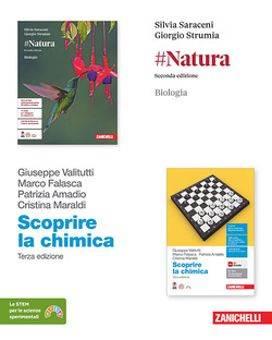 Copertina 9788808692764 Usato