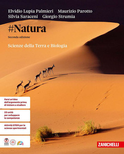 Copertina 9788808840066 Usato