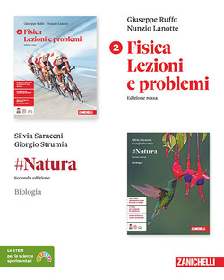 Copertina 9788808892553 Usato