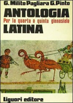 Copertina 9788820704261 Usato