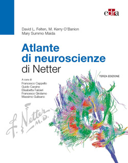 Copertina 9788821443695 Nuovo