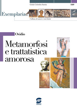 Copertina 9788824479844 Nuovo