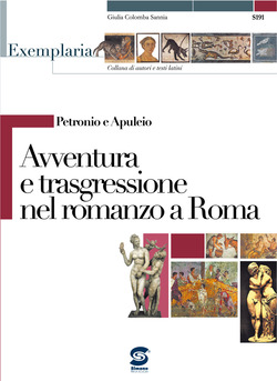 Copertina 9788824479868 Nuovo