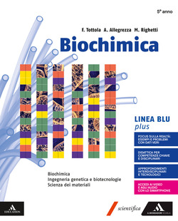 Copertina 9788824775236 Usato