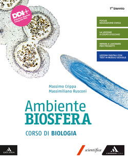 Copertina 9788824793483 Usato