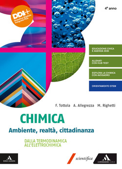Copertina 9788824796651 Usato