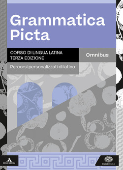 Copertina 9788828627982 Usato