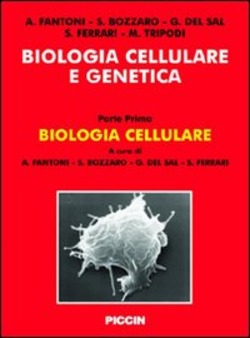 Copertina 9788829919666 Nuovo