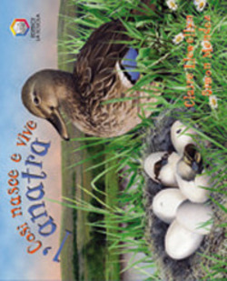 Copertina 9788835018131 Nuovo