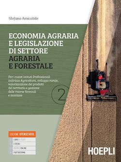 Copertina 9788836007509 Usato