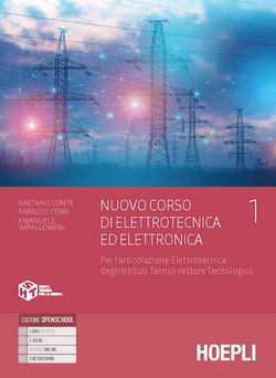 Copertina 9788836007899 Usato