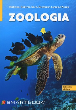 Copertina 9788838615382 Nuovo