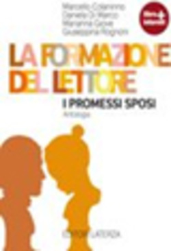 Copertina 9788842110101 Usato