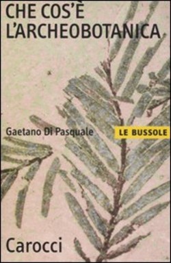 Copertina 9788843060184 Usato