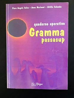 Copertina 9788846821737 Usato