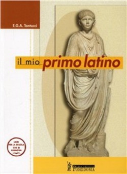 Copertina 9788848200240 Usato