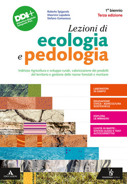 Copertina 9788848266512 Usato