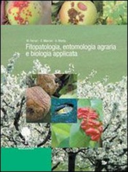 Copertina 9788852900624 Usato