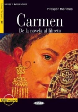 Copertina 9788853003317 Usato