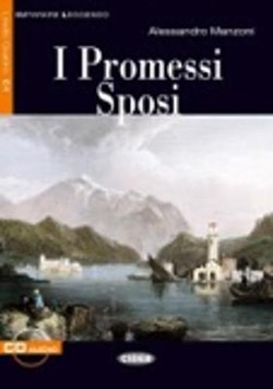 Copertina 9788853006608 Usato