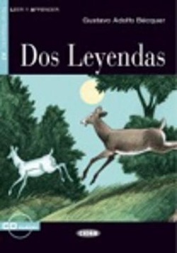 Copertina 9788853008879 Usato
