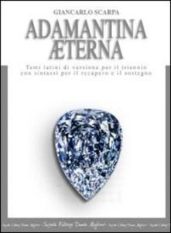 Copertina 9788853404770 Nuovo