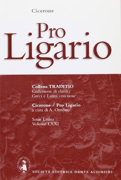 Copertina 9788853405470 Usato