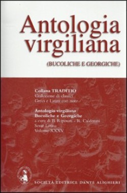 Copertina 9788853406262 Nuovo