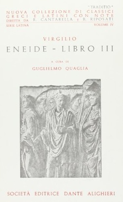 Copertina 9788853406293 Usato