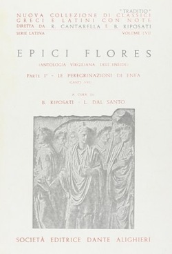 Copertina 9788853406385 Usato