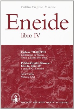 Copertina 9788853406408 Usato