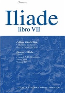 Copertina 9788853407481 Usato