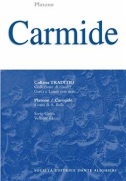 Copertina 9788853407962 Nuovo