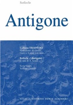 Copertina 9788853408112 Nuovo