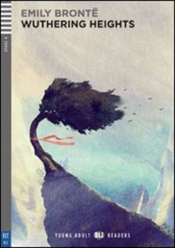 Copertina 9788853606655 Usato