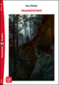 Copertina 9788853632470 Usato