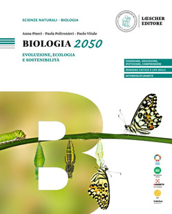Copertina 9788858348758 Usato