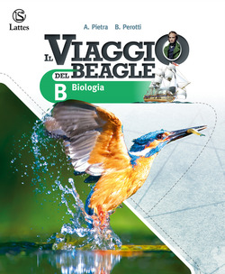 Copertina 9788869175695 Usato