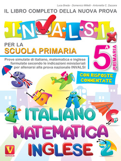 Copertina 9788873128915 Usato