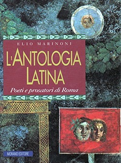 Copertina 9788880360308 Usato
