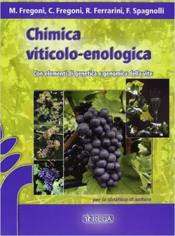 Copertina 9788883610516 Usato