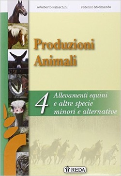 Copertina 9788883612121 Usato