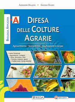 Copertina 9788883613746 Nuovo