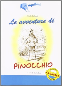 Copertina 9788884112286 Usato