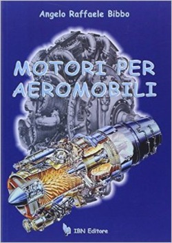 Copertina 9788886815970 Usato